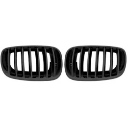 Black grille for BMW X 6