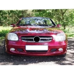 Mercedes SLK R170 grille