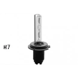 Bulb xenon H7 8000 K