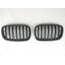 Carbon Kühlergrill BMW X 5 / BMW X 6