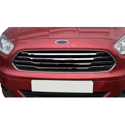 Added chrome grille Ford Tourneo Courier