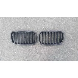 Carbon Kühlergrill BMW X 5 / BMW X 6