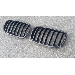 Carbon grille X 5 BMW / BMW X 6