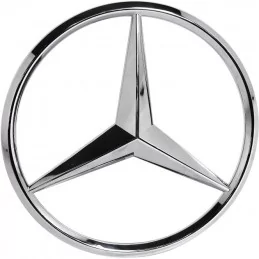 Logogrille Mercedes-klasse R350 V251 W251 A0008171416