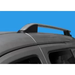 Berlingo Roof Rails