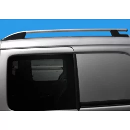 Berlingo Roof Rails