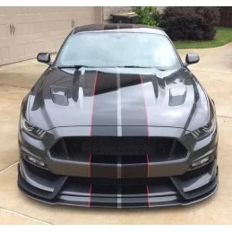 Bumper before Ford Mustang Shelby GT350