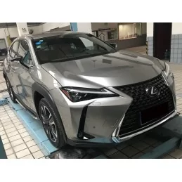 Trittbrettfahrer Lexus UX 250h