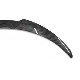 Carbon spoiler for TESLA MODEL 3