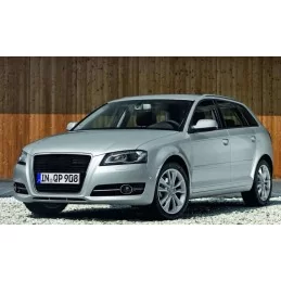 Fari fendinebbia RS3 look per AUDI A3 8P 2008-2012