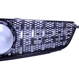 Panamericana grille for Mercedes CLS W219 2008-2010