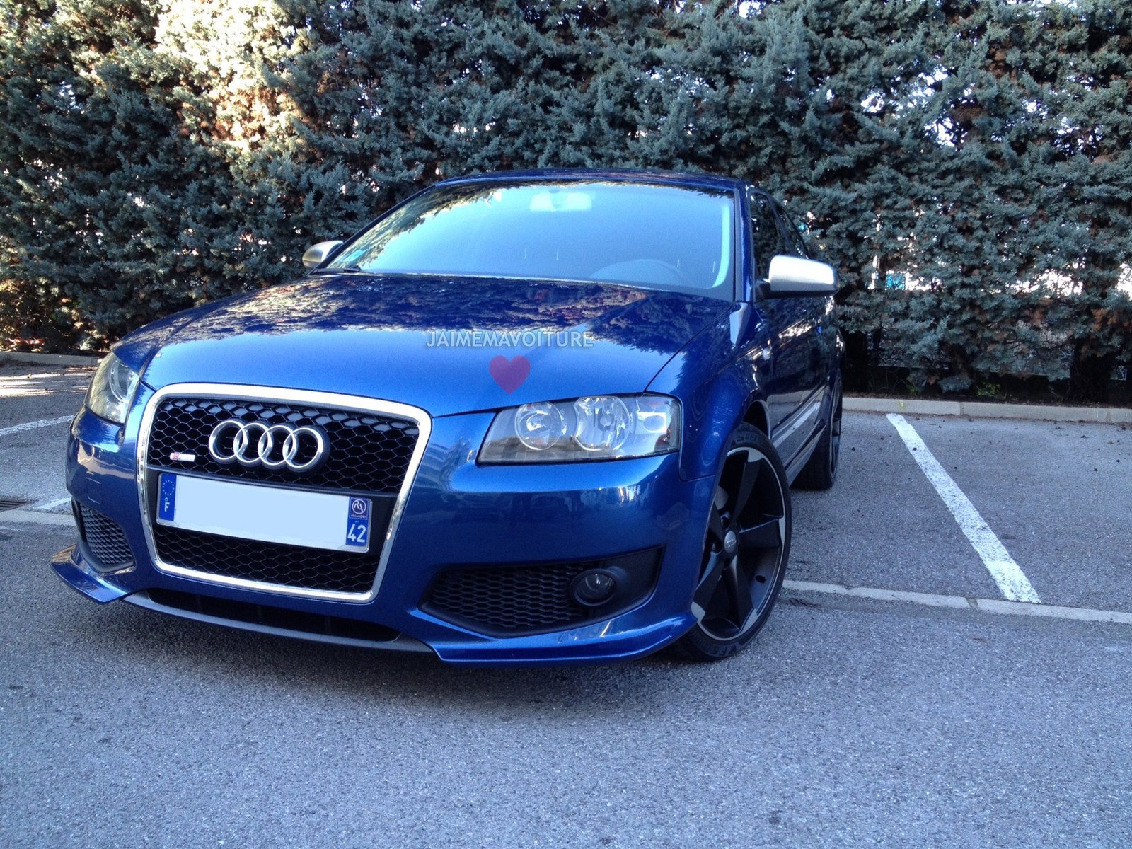 Calandre AUDI RS3