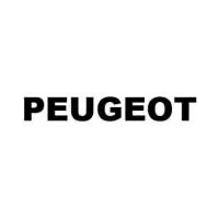 Cheap Peugeot spare parts and accessories